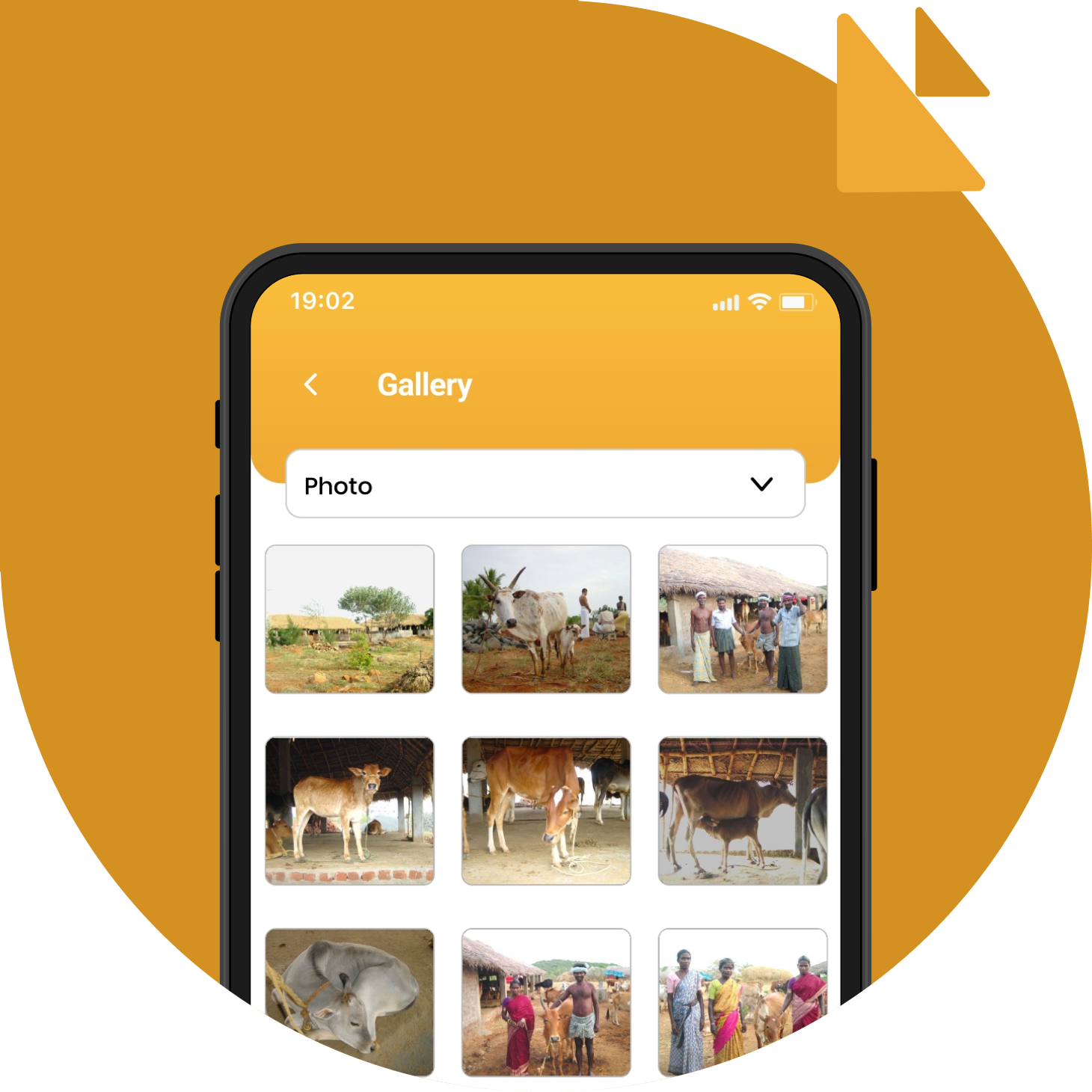 App Dashboard